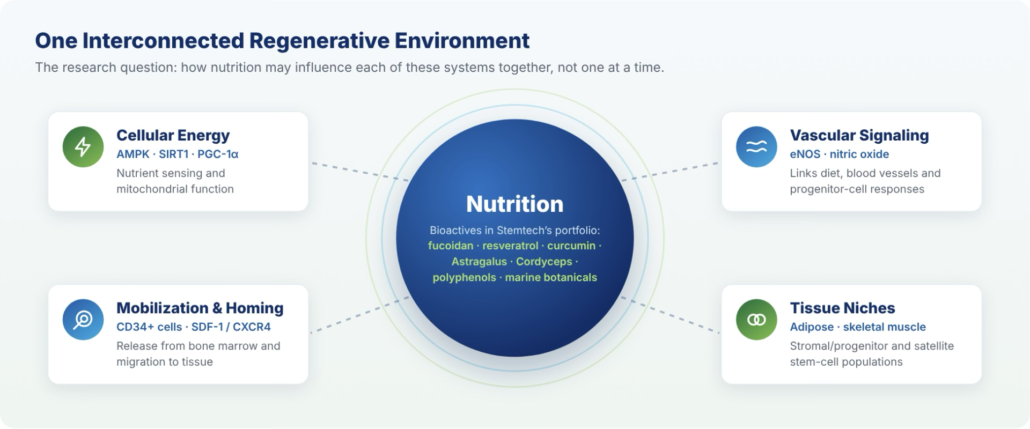 Physician Research Points to a New Frontier for Stemtech Corporation: Nutritional Activation of the Body’s Endogenous Regenerative System – image 2